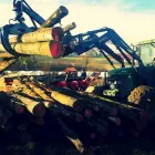 Unternehmen 2 Bild BUCHENBRENNHOLZ MOHN Sägewerke am Betzenweiler BW