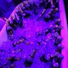 Unternehmen 12 Bild CAFÉ EINSTEIN - STAMMHAUS Restaurant & Café am Berlin BE