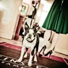 Unternehmen 1 Bild CAFÉ EINSTEIN - STAMMHAUS Restaurant & Café am Berlin BE