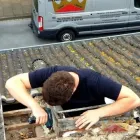 Unternehmen 16 Bild DACHDECKERMEISTERBETRIEB DIRK LANGE Zimmerarbeiten, Holzbauarbeiten am Bünde NW