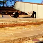 Unternehmen 21 Bild DACHDECKERMEISTERBETRIEB DIRK LANGE Zimmerarbeiten, Holzbauarbeiten am Bünde NW