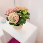 Unternehmen 7 Bild DAVID BRAUNS - PRAXIS FÜR PHYSIOTHERAPIE Ärzte am München BY