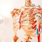 Unternehmen 13 Bild DAVID BRAUNS - PRAXIS FÜR PHYSIOTHERAPIE Ärzte am München BY