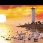 Unternehmen 12 Bild DESLA TOURISTIK GMBH Touristeninformation am Berlin BE