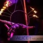 Unternehmen 2 Bild DIE FLUGTRÄUMER ARTISTIK AKROBATIK FEUERSHOW Verleihunternehmen, Vermietungsunternehmen, Vermittlungsunternehmen am Berlin BE