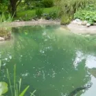 Unternehmen 9 Bild DIE TEICHREINIGER Gartenbauunternehmen, Landschaftsbauunternehmen am Erlangen BY