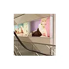 Unternehmen 11 Bild DIGITALDRUCK & WERBETECHNIK | PIGTURE GMBH | MÜNCHEN Presse & Bücher am München BY