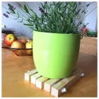 Unternehmen 4 Bild DIY-WERKBOX Schulen & Fortbildung am Berlin BE