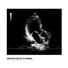 Unternehmen 19 Bild DR. MED. KARL MICHAEL SCHMID - INTERNIST /KARDIOLOGE MÜNCHEN Ärzte am München BY