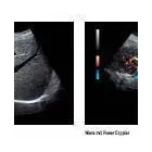 Unternehmen 17 Bild DR. MED. KARL MICHAEL SCHMID - INTERNIST /KARDIOLOGE MÜNCHEN Ärzte am München BY