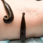 Unternehmen 7 Bild DRIP-SPA INFUSIONEN - VITAMININFUSIONEN POTSDAM BERLIN - VITAMIN C HOCHDOSIERT Ärzte am Potsdam BB