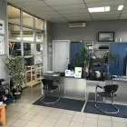 Unternehmen 3 Bild DRZ DRESDNER REIFEN ZENTRALE GMBH Reifen Einzelhandel am Dresden SN