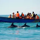 Unternehmen 15 Bild EASYPERSIA Reiseveranstalter am München BY