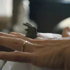 Unternehmen 6 Bild EPPI GMBH Schmuckdesigner am Berlin BE