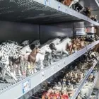 Unternehmen 3 Bild FAIX & SÖHNE IM FLUGHAFEN FRANKFURT GMBH Spielwaren, Festartikel, Scherzartikel am Frankfurt Am Main HE