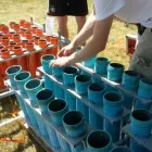 Unternehmen 3 Bild FEUERWERK BERLIN GANZJAHRESFEUERWERKLADEN PYRO THRON GMBH Verleihunternehmen, Vermietungsunternehmen, Vermittlungsunternehmen am Berlin BE