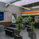 Unternehmen 2 Bild FITX FITNESSSTUDIO Yogaschulen, Gymnastikschulen am Münster NW