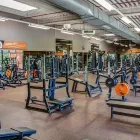 Unternehmen 3 Bild FITX FITNESSSTUDIO Yogaschulen, Gymnastikschulen am Münster NW