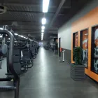 Unternehmen 7 Bild FITX FITNESSSTUDIO Yogaschulen, Gymnastikschulen am Münster NW
