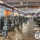 Unternehmen 10 Bild FITX FITNESSSTUDIO Yogaschulen, Gymnastikschulen am Münster NW