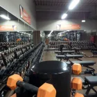 Unternehmen 12 Bild FITX FITNESSSTUDIO Yogaschulen, Gymnastikschulen am Münster NW
