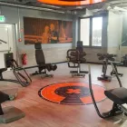 Unternehmen 15 Bild FITX FITNESSSTUDIO Yogaschulen, Gymnastikschulen am München BY