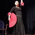 Unternehmen 1 Bild FLAMENCO FÜR IHRE FEIER Vernissage am Bremen HB