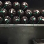 Unternehmen 1 Bild FLEISCHEREI BERND HOLSTIEGE Metzgereien am Münster NW