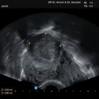 Unternehmen 16 Bild FRAUENARZTPRAXIS AM POTSDAMER PLATZ BERLIN Ärzte am Berlin BE