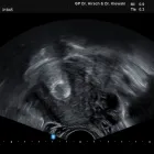 Unternehmen 9 Bild FRAUENARZTPRAXIS DR. STROTH - NATALIA EGOROVA Ärzte am Berlin BE