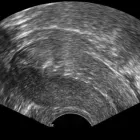 Unternehmen 16 Bild FRAUENARZTPRAXIS DR. STROTH - NATALIA EGOROVA Ärzte am Berlin BE