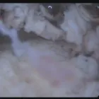 Unternehmen 17 Bild FRAUENARZTPRAXIS DR. STROTH - NATALIA EGOROVA Ärzte am Berlin BE