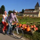 Unternehmen 1 Bild FREIZEITCENTER REICHENAU - BOOTS-, SUP- & FAHRRAD-VERLEIH - SCHULKLASSEN- & GRUPPENAUSFLÜGE Verleihunternehmen, Vermietungsunternehmen, Vermittlungsunternehmen am Reichenau BW