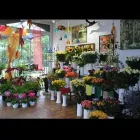Unternehmen 3 Bild FRIEDHOFSGÄRTNEREI UND BLUMENGESCHÄFT WIETING Soziales & Gesellschaft am Bremen HB