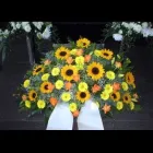 Unternehmen 8 Bild FRIEDHOFSGÄRTNEREI UND BLUMENGESCHÄFT WIETING Soziales & Gesellschaft am Bremen HB