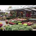 Unternehmen 10 Bild FRIEDHOFSGÄRTNEREI UND BLUMENGESCHÄFT WIETING Soziales & Gesellschaft am Bremen HB
