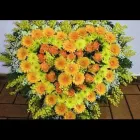 Unternehmen 2 Bild FRIEDHOFSGÄRTNEREI UND BLUMENGESCHÄFT WIETING Soziales & Gesellschaft am Bremen HB