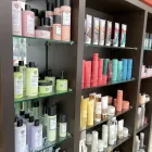 Unternehmen 2 Bild FRISEUR HAARMONIE & BEAUTY Friseursalons am Berlin BE