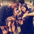 Unternehmen 23 Bild FRISEUR | MOLOTOW HAARDESIGN GMBH | MÜNCHEN Friseursalons am München BY