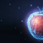 Unternehmen 1 Bild FRUCHT N Werbung am München BY