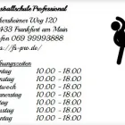 Unternehmen 1 Bild FUSSBALLSCHULE PROFESSIONAL Sportvereine, Sportclubs, Spielvereine am Frankfurt Am Main HE