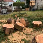 Unternehmen 1 Bild GARTEN & LANDSCHAFTSPFLEGE KRATZ, BAUMFÄLLUNG Gartenpflege, Baumpflege am Rodgau HE