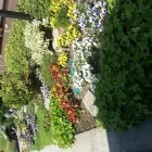 Unternehmen 8 Bild GARTEN & LANDSCHAFTSPFLEGE KRATZ, BAUMFÄLLUNG Gartenpflege, Baumpflege am Rodgau HE