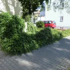 Unternehmen 9 Bild GARTEN & LANDSCHAFTSPFLEGE KRATZ, BAUMFÄLLUNG Gartenpflege, Baumpflege am Rodgau HE
