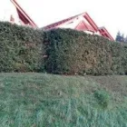Unternehmen 10 Bild GARTEN & LANDSCHAFTSPFLEGE KRATZ, BAUMFÄLLUNG Gartenpflege, Baumpflege am Rodgau HE