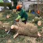 Unternehmen 11 Bild GARTEN & LANDSCHAFTSPFLEGE KRATZ, BAUMFÄLLUNG Gartenpflege, Baumpflege am Rodgau HE