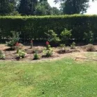 Unternehmen 12 Bild GARTEN & LANDSCHAFTSPFLEGE KRATZ, BAUMFÄLLUNG Gartenpflege, Baumpflege am Rodgau HE