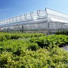 Unternehmen 9 Bild GARTENCENTER SEEBAUER Produktion und Vertrieb von Pflanzen am München BY