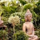 Unternehmen 2 Bild GARTENCENTER SEEBAUER Produktion und Vertrieb von Pflanzen am München BY