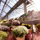 Unternehmen 3 Bild GARTENCENTER SEEBAUER Produktion und Vertrieb von Pflanzen am München BY